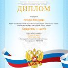 диплом печкина май.jpg