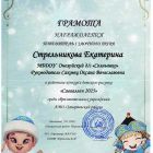 Стрельникова Екатерина_page-0001.jpg